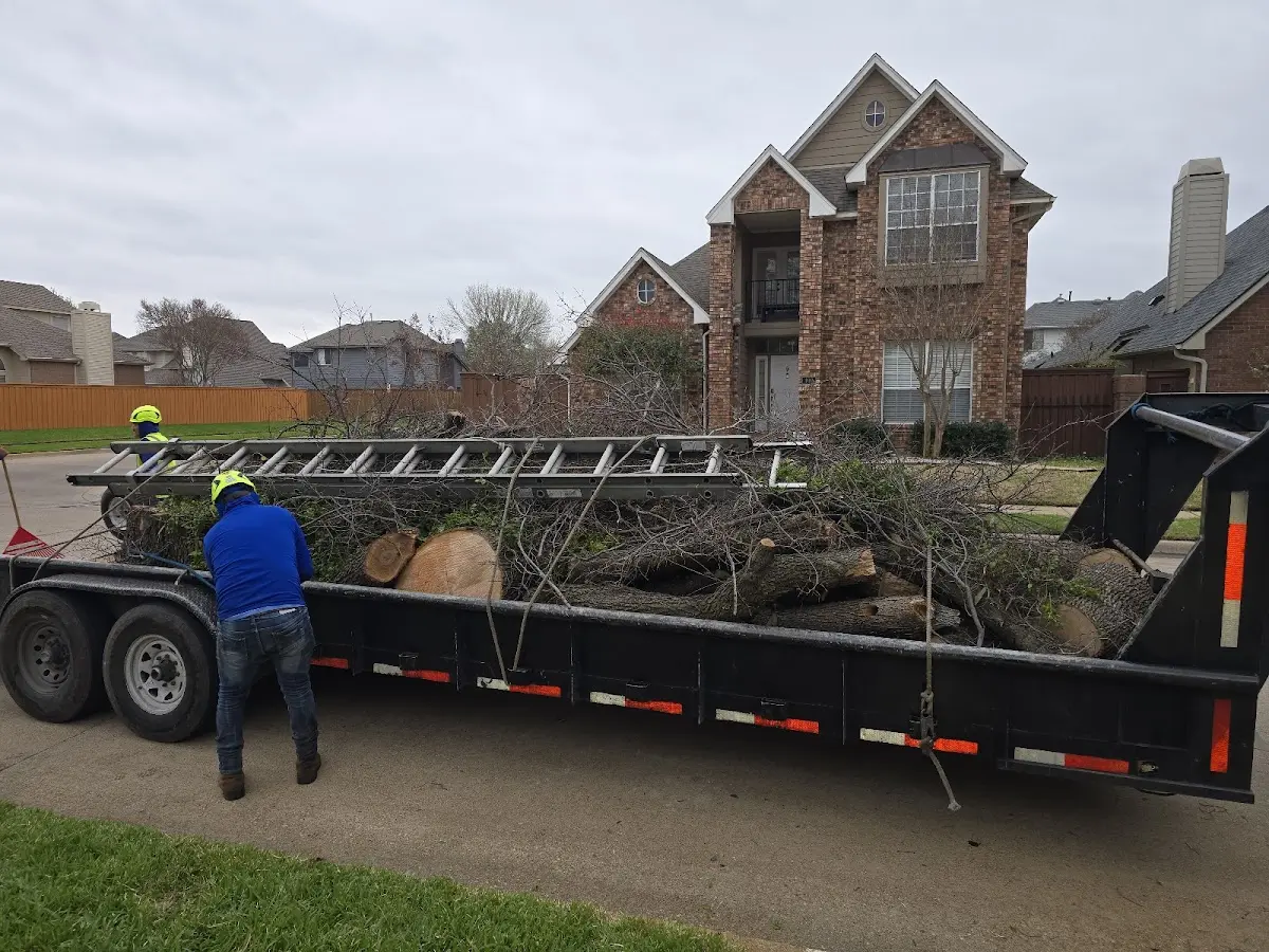 Expert Tree Removal with proper safety equipment in Gibsonburg